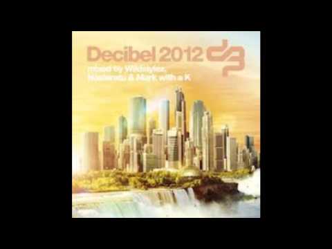 Sfeerbeeld bij Decibel 2012 CD1 Mixed By Wildstylez